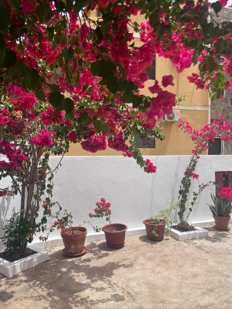 Casa Estrela - Sea & Art Guesthouse
