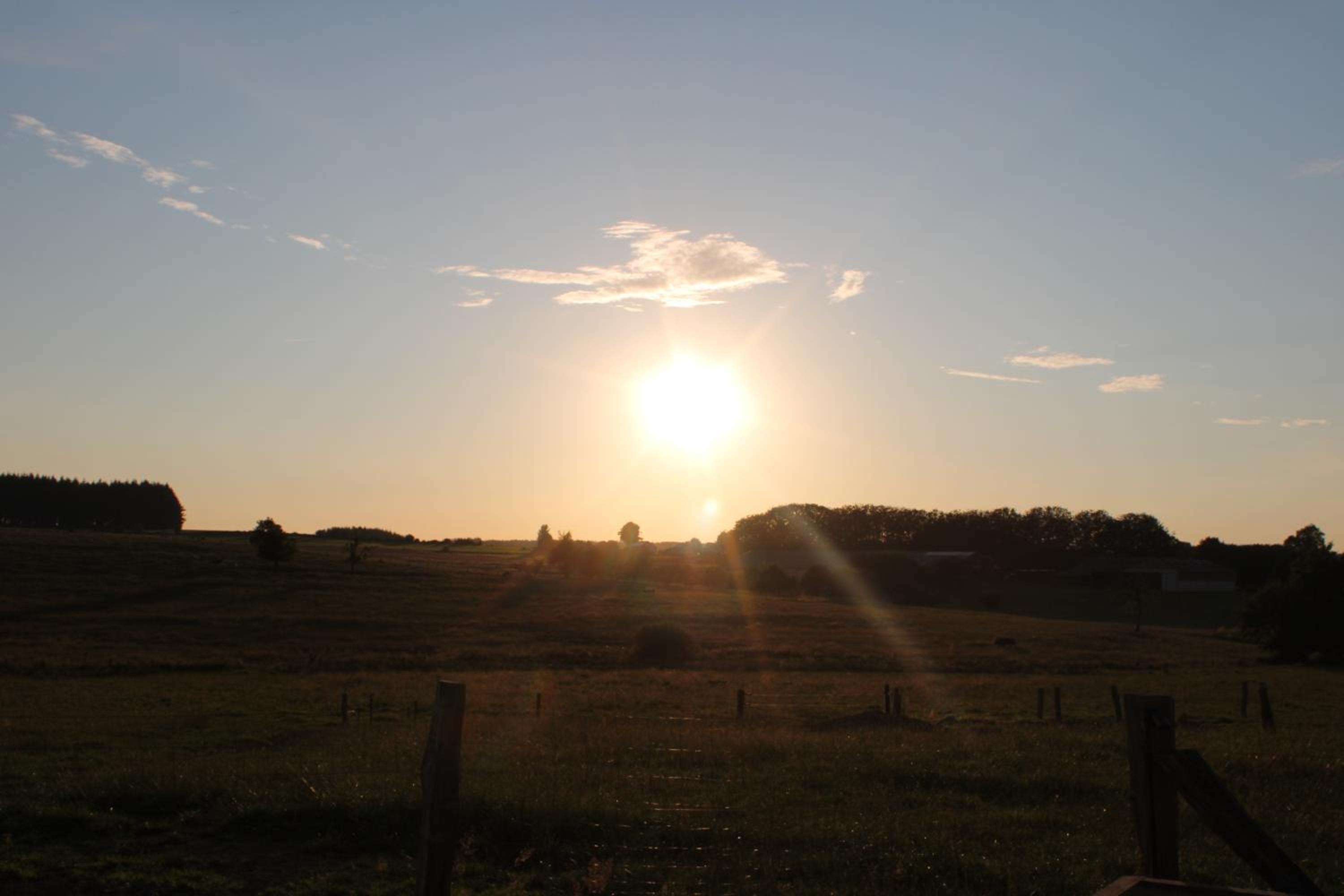 La Cab'Armande