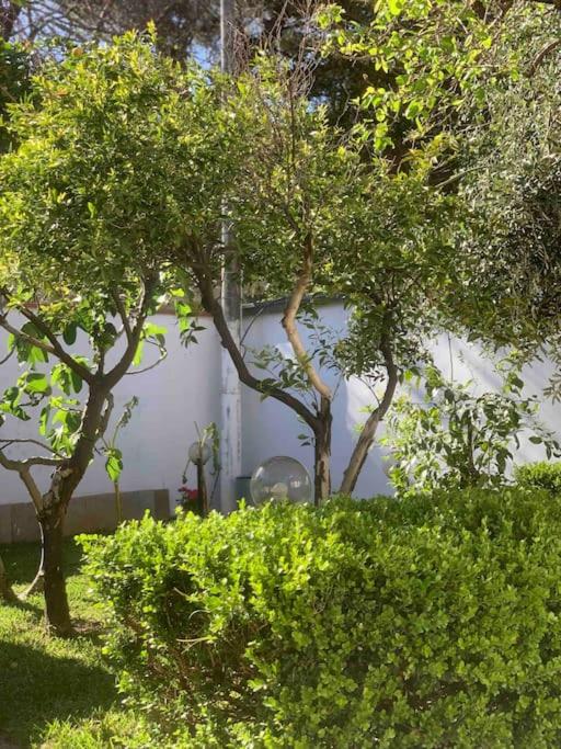 Villa Marea Mondello