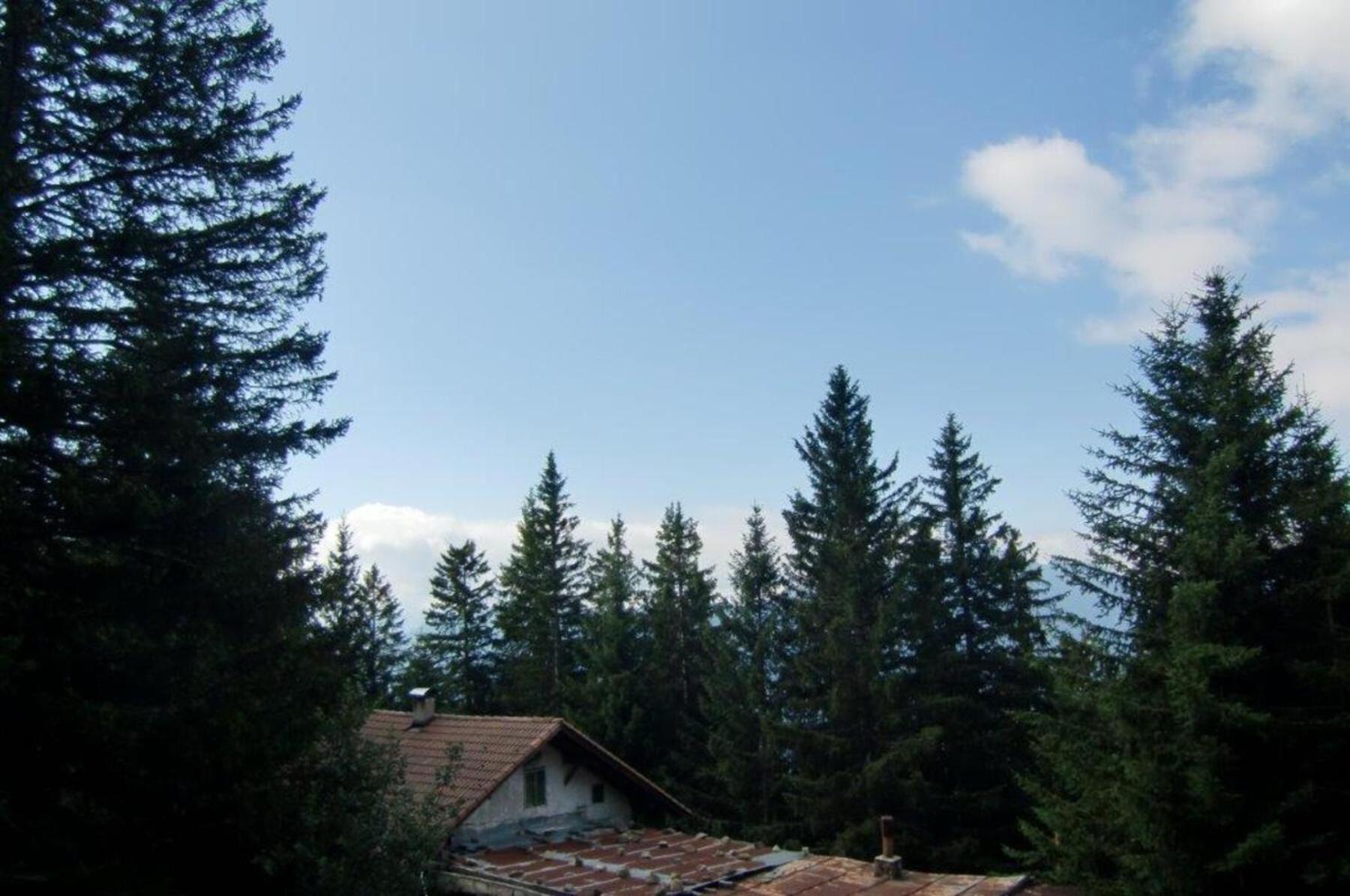 Bergchalet Waldidyll