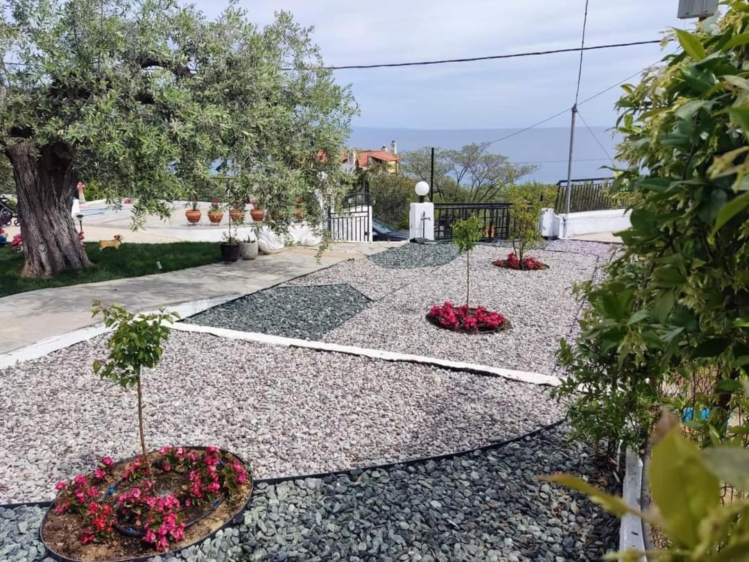 Villa Alexandra