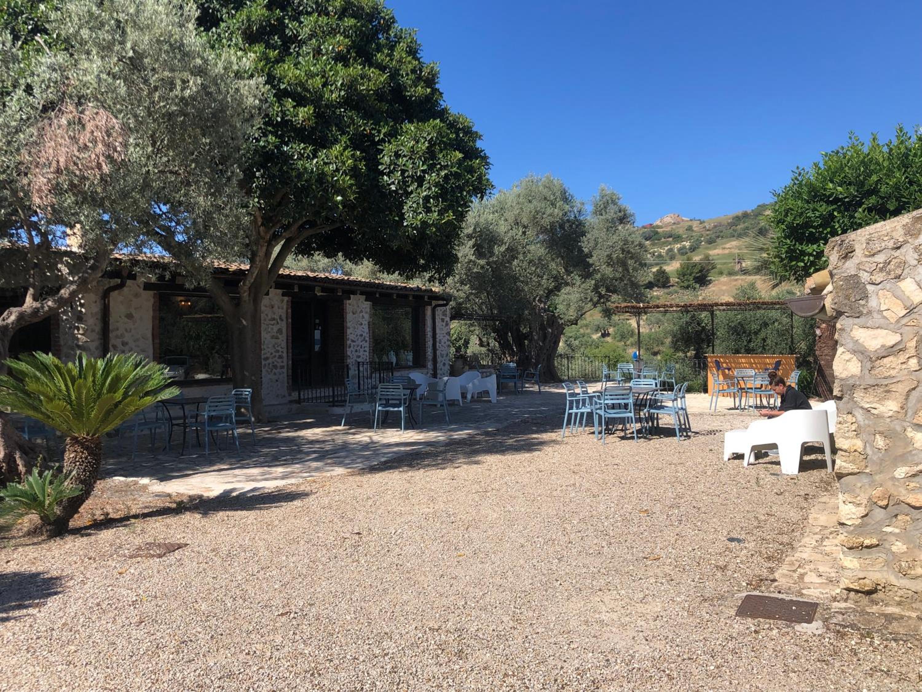 Roba Degli Ulivi
