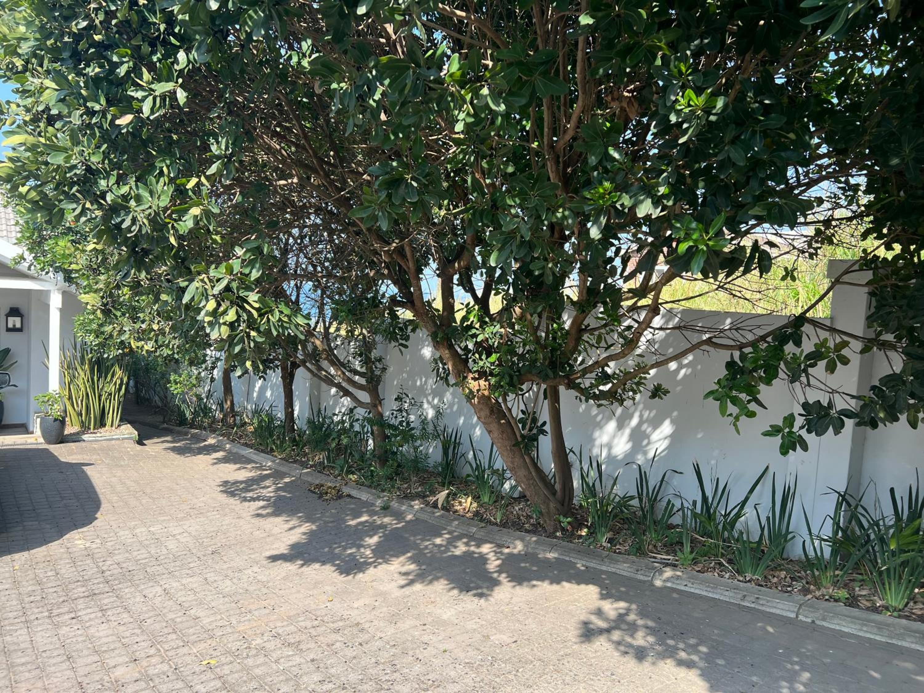 Milkwood Beach House