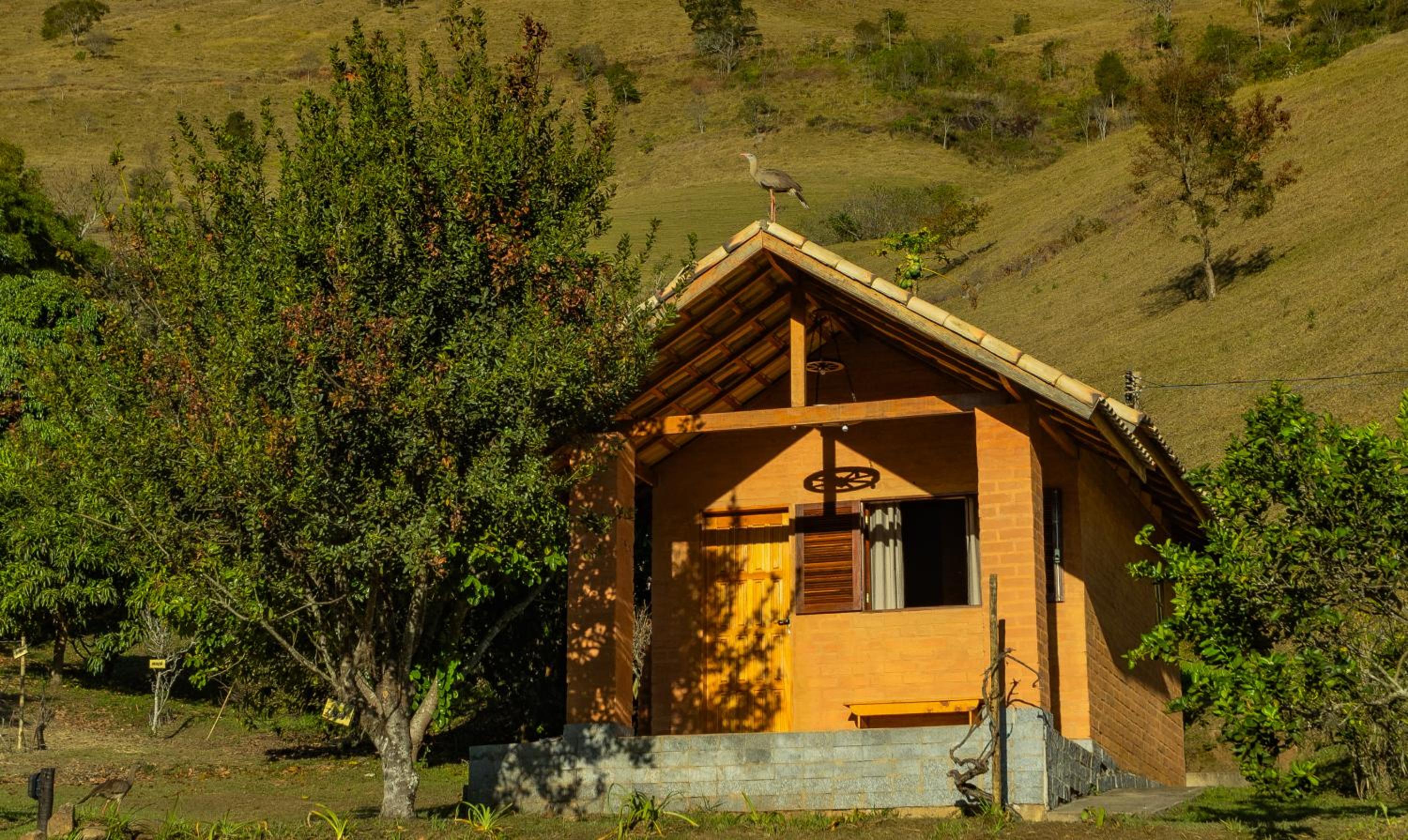 Photo 48