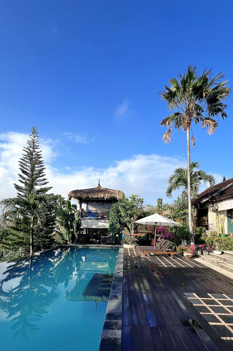 Villa Anjing