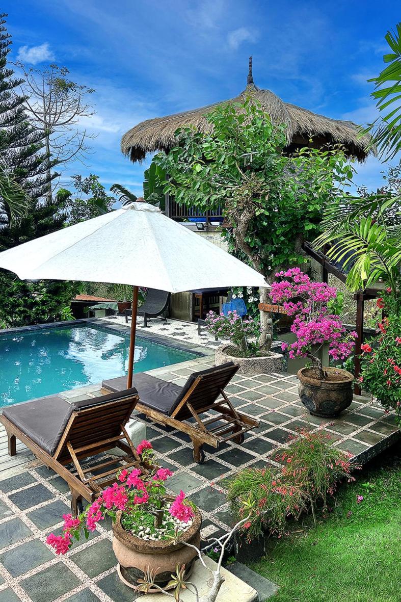 Villa Anjing