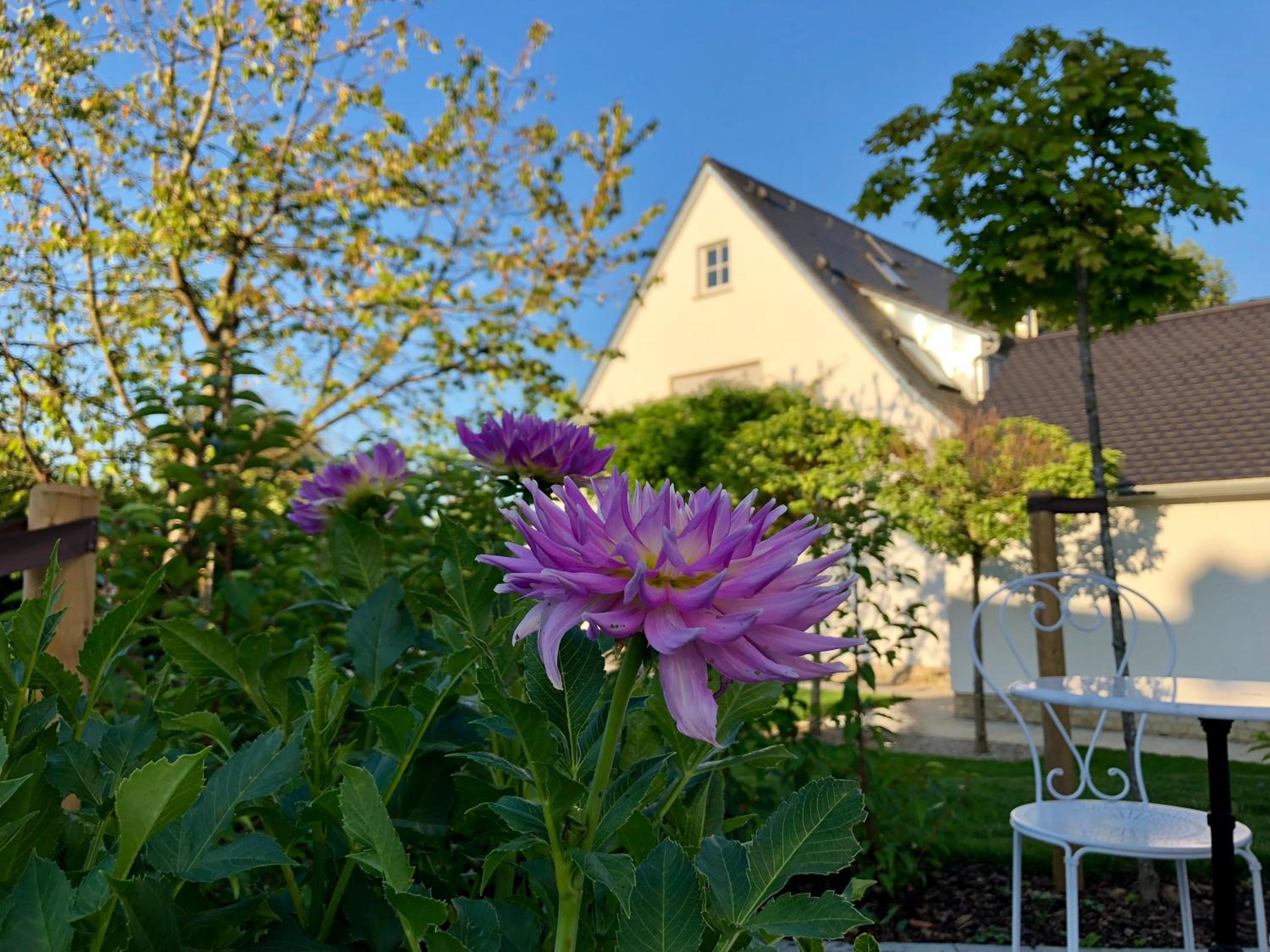 B & B Villa Dahlia