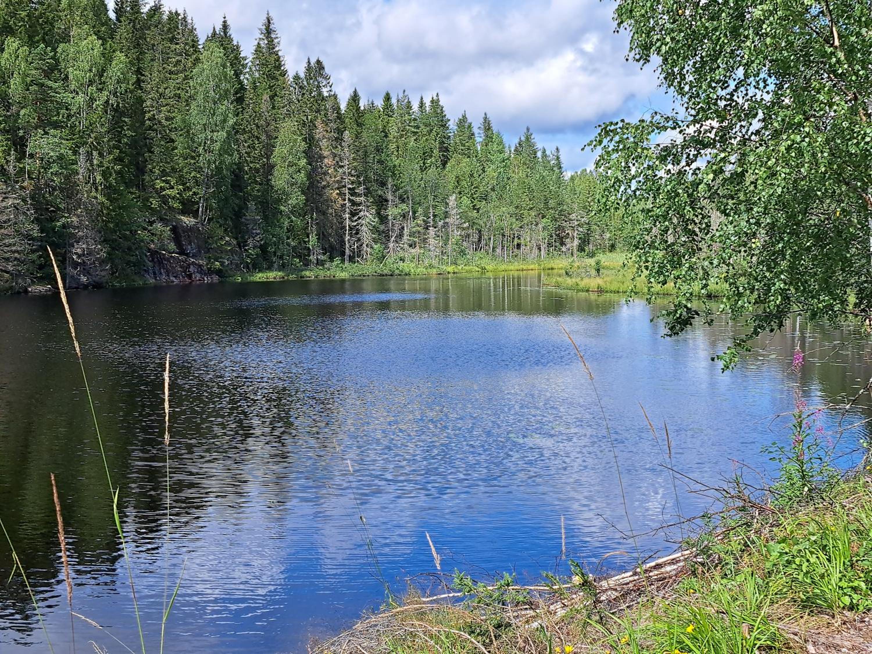 Guesthouse Nature Trails Sweden