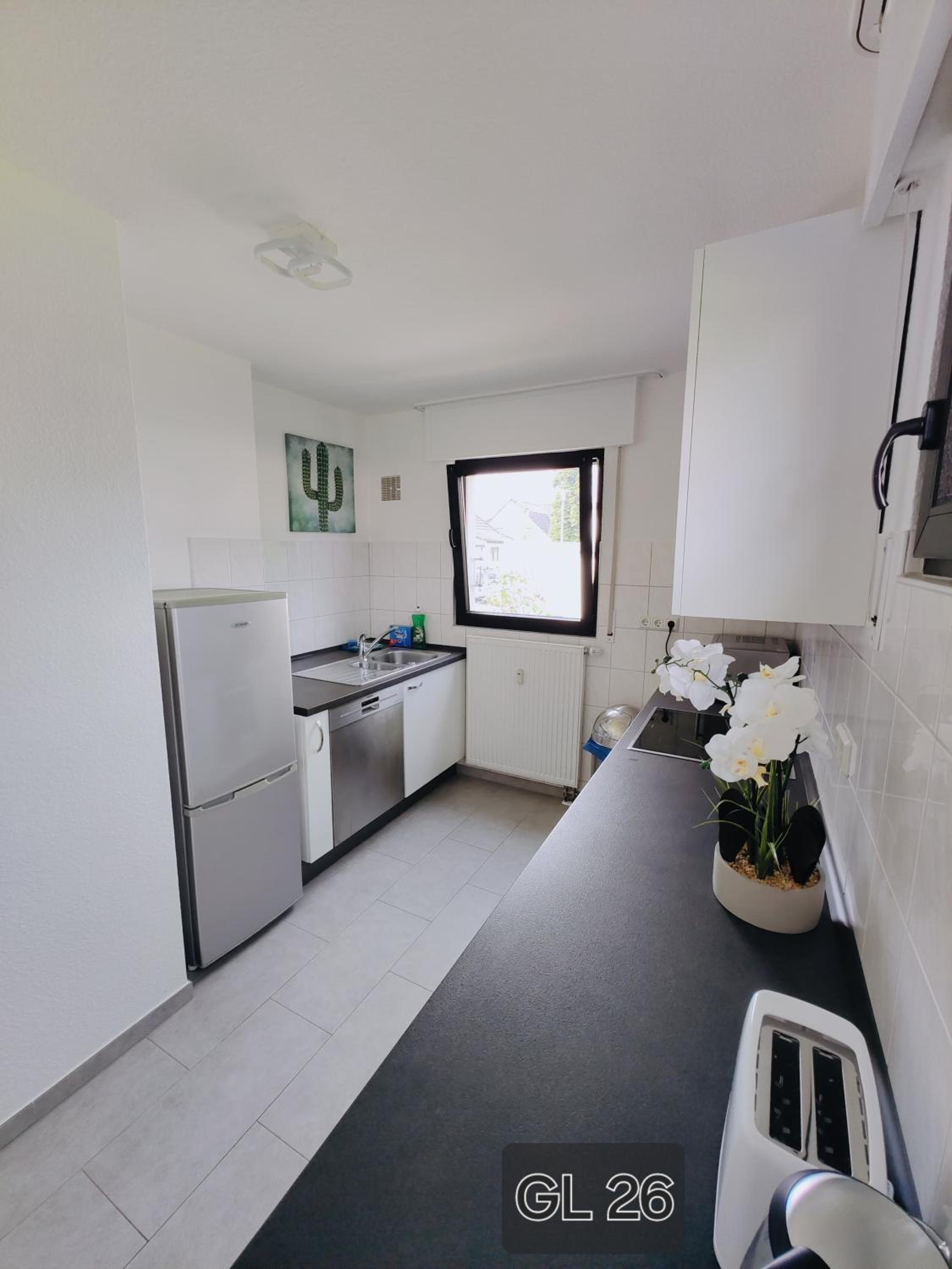 Schnee Apartment GL-25