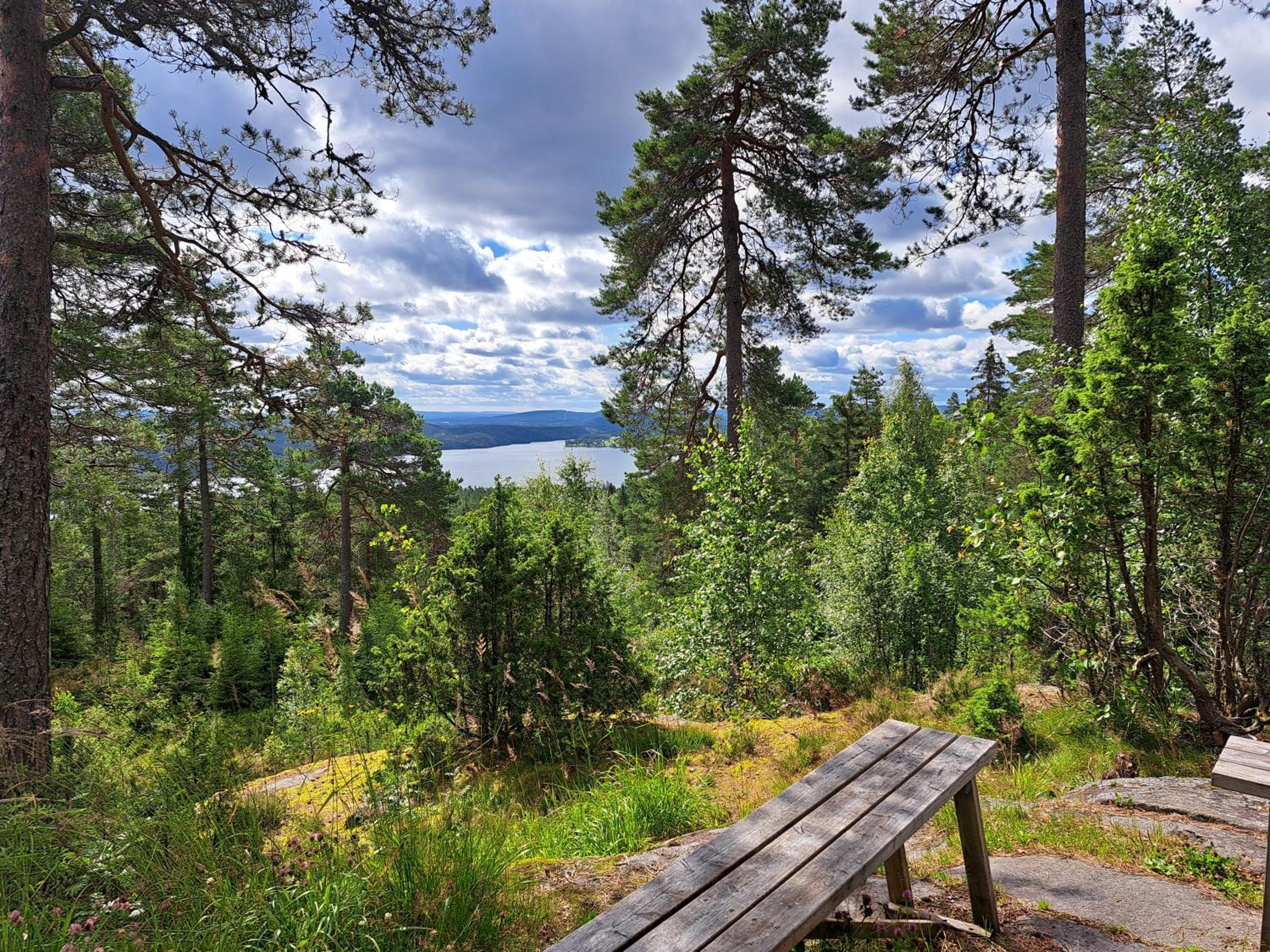 Guesthouse Nature Trails Sweden
