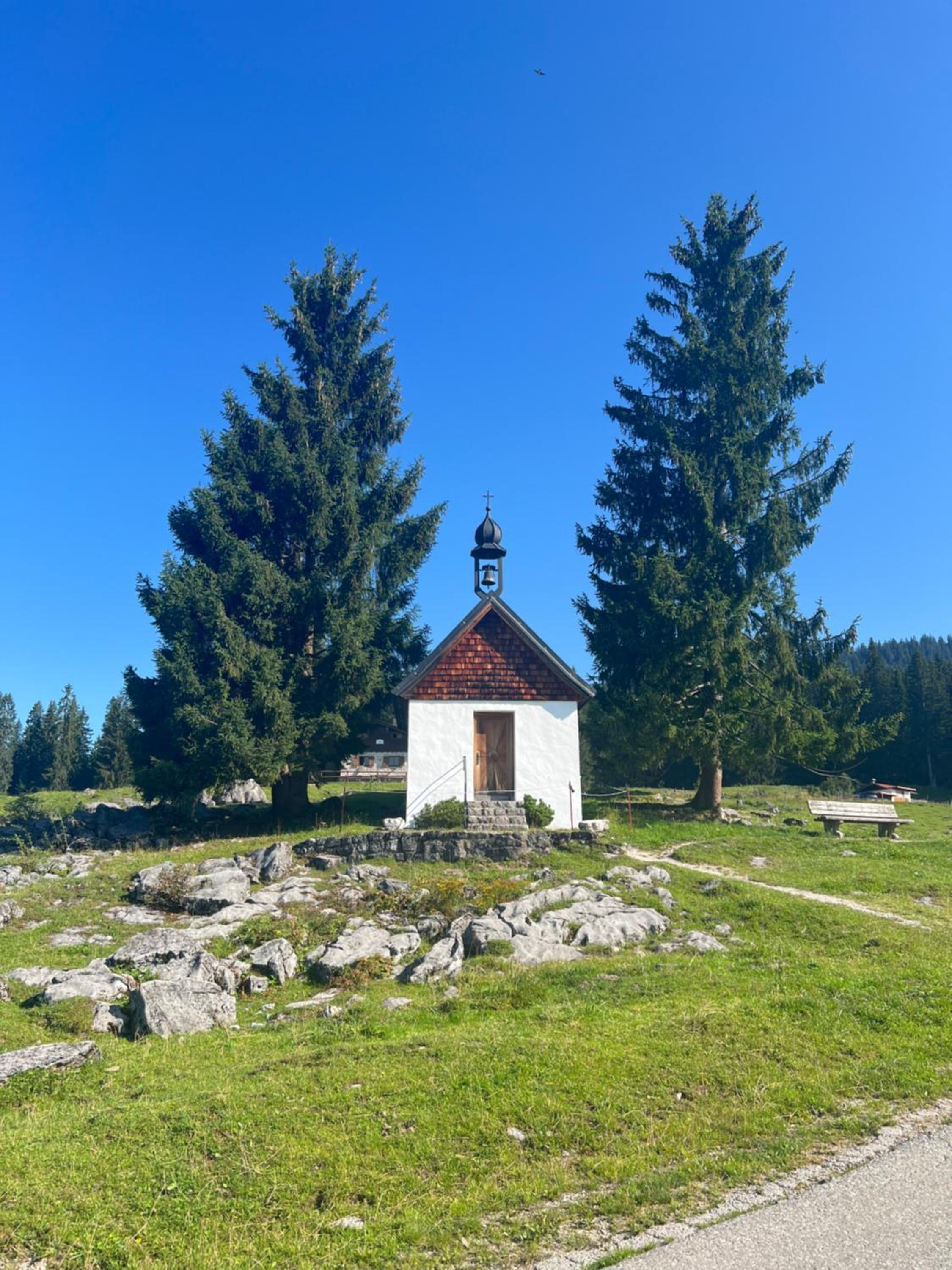 Photo 29