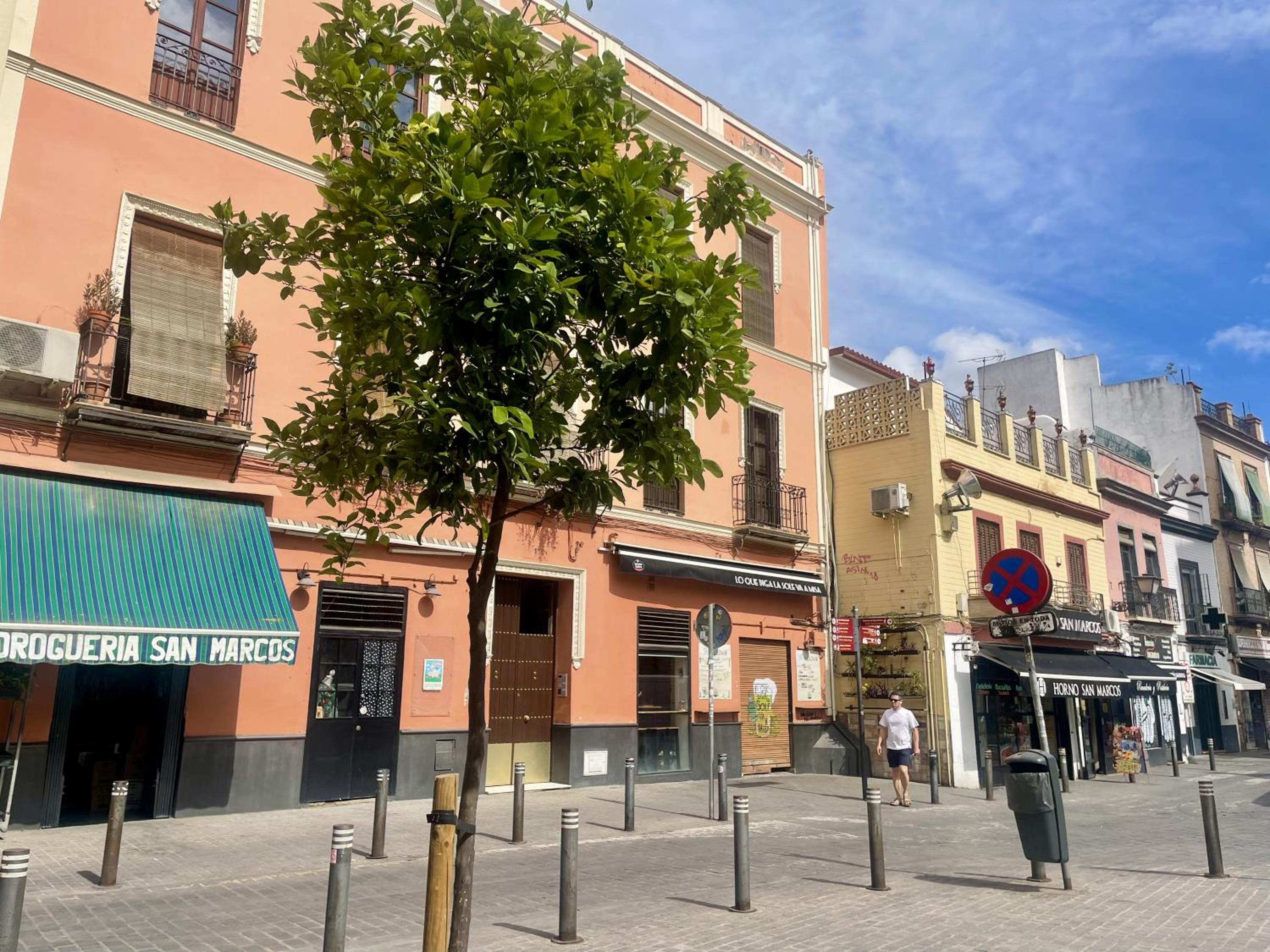 Eva Recommends Plaza de San Marcos