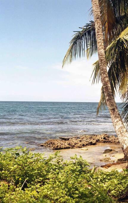 Casa Grande a 1 minuto de la playa