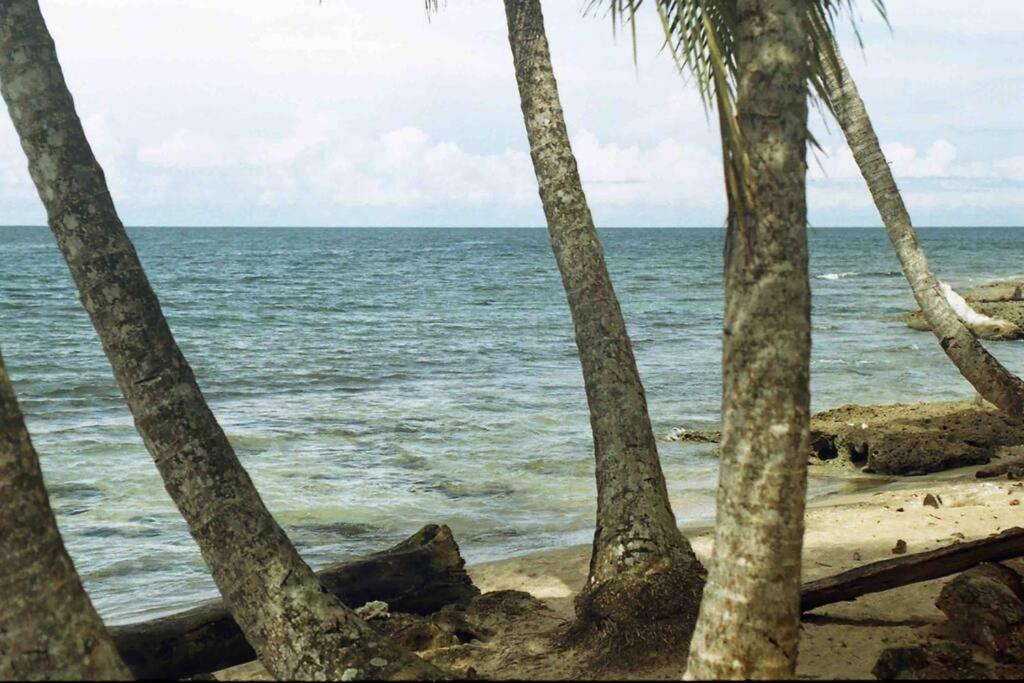 Casa Grande a 1 minuto de la playa