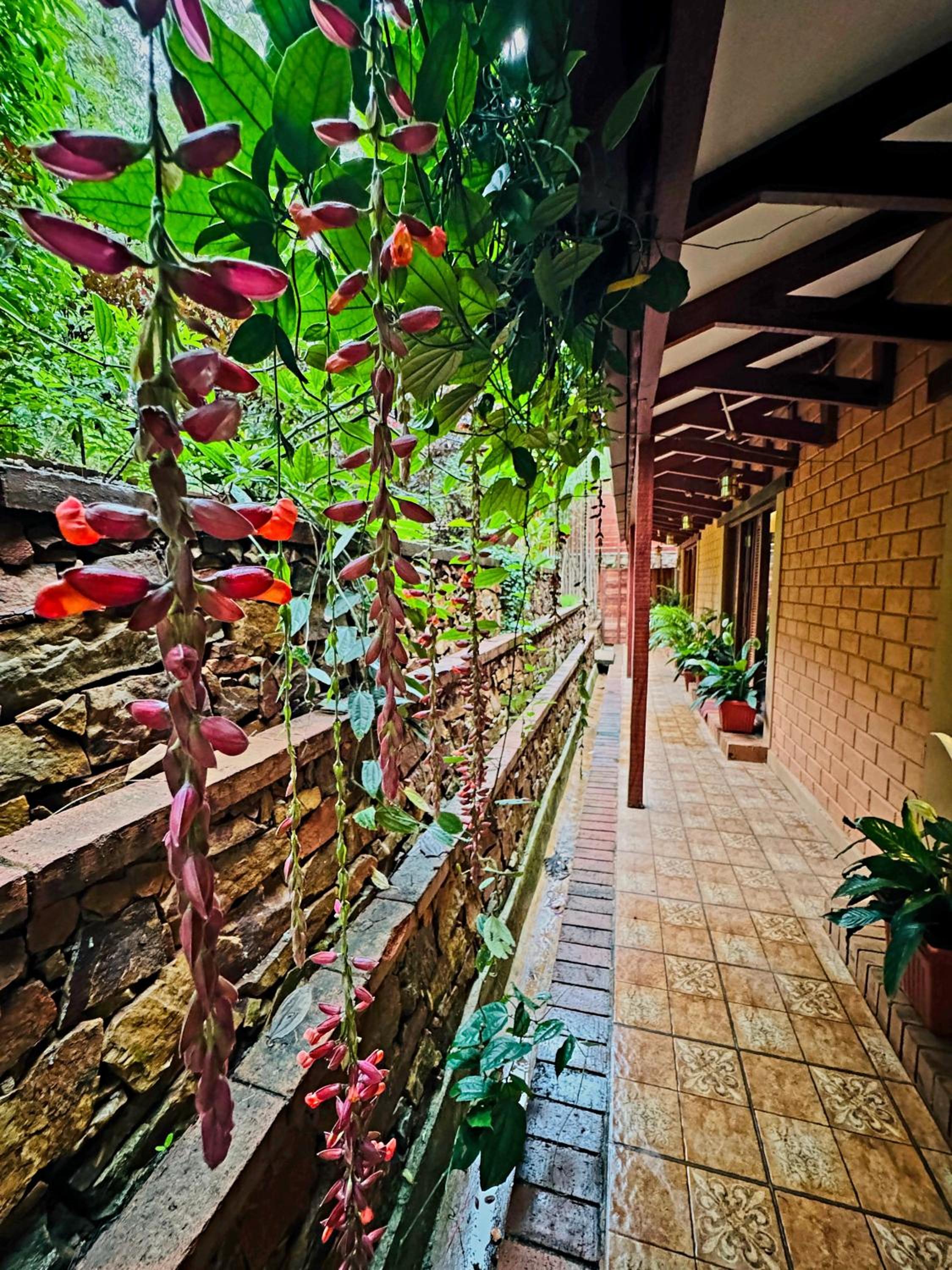 Sereno Pool Villa Chikmagalur