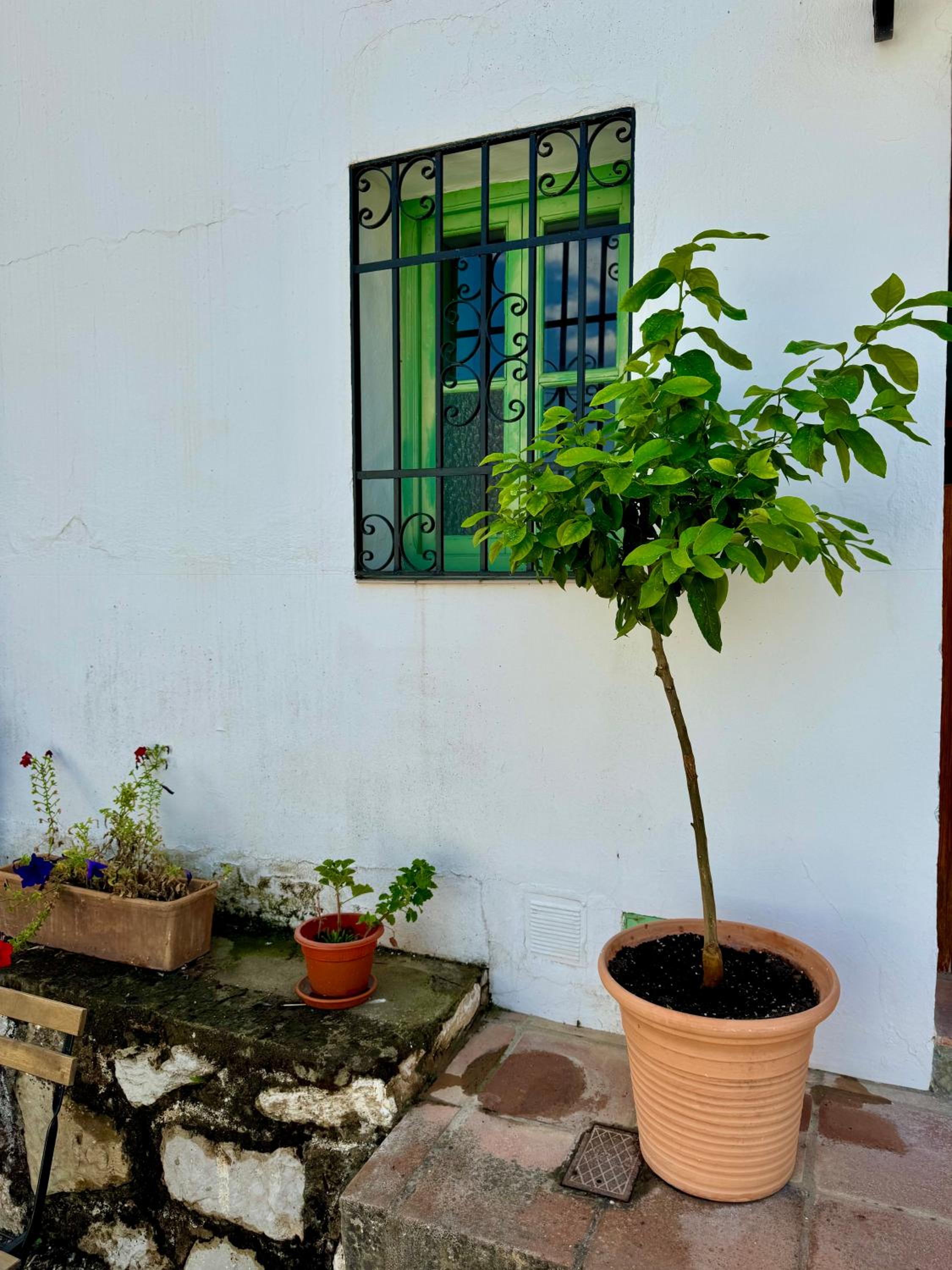 Casa León