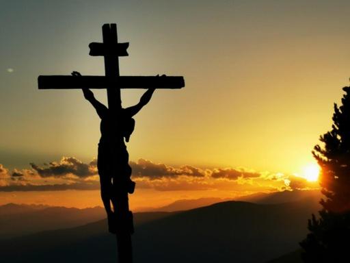 Photo 35