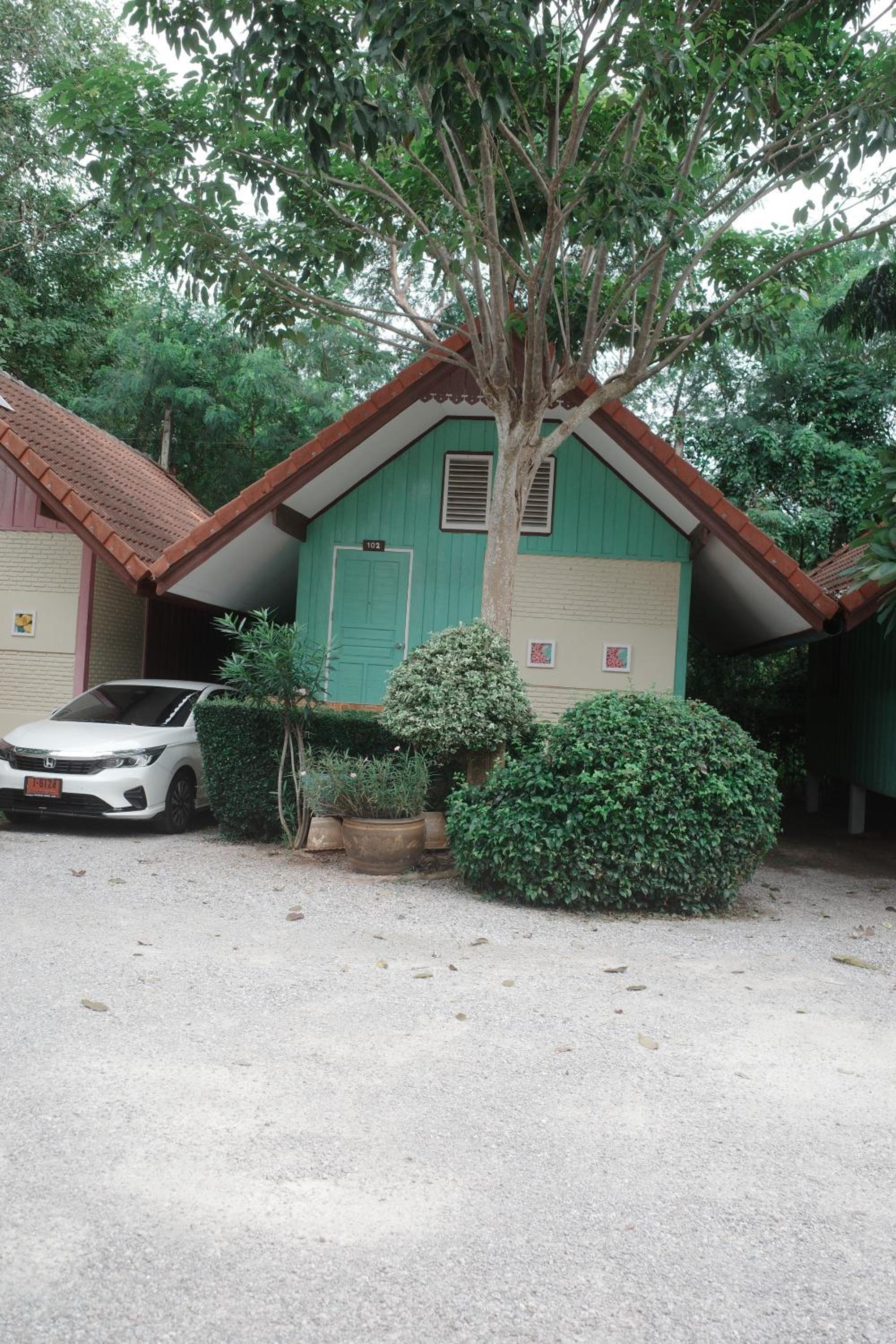 Photo 6