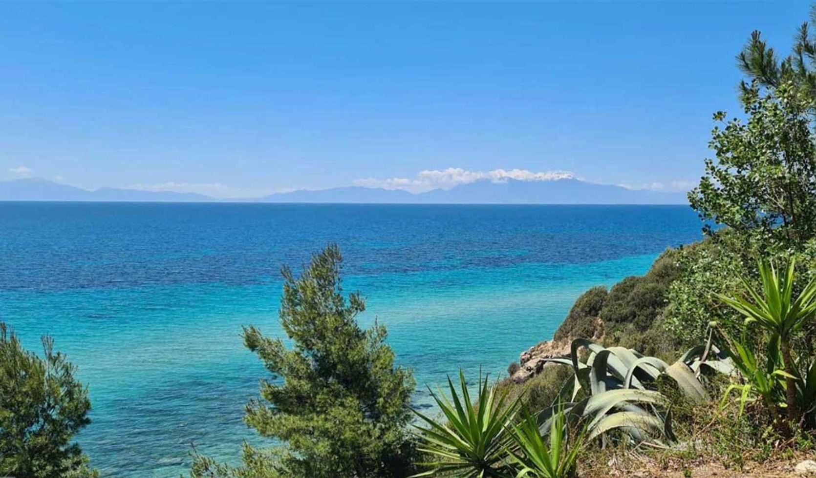 Seahorse rural villa