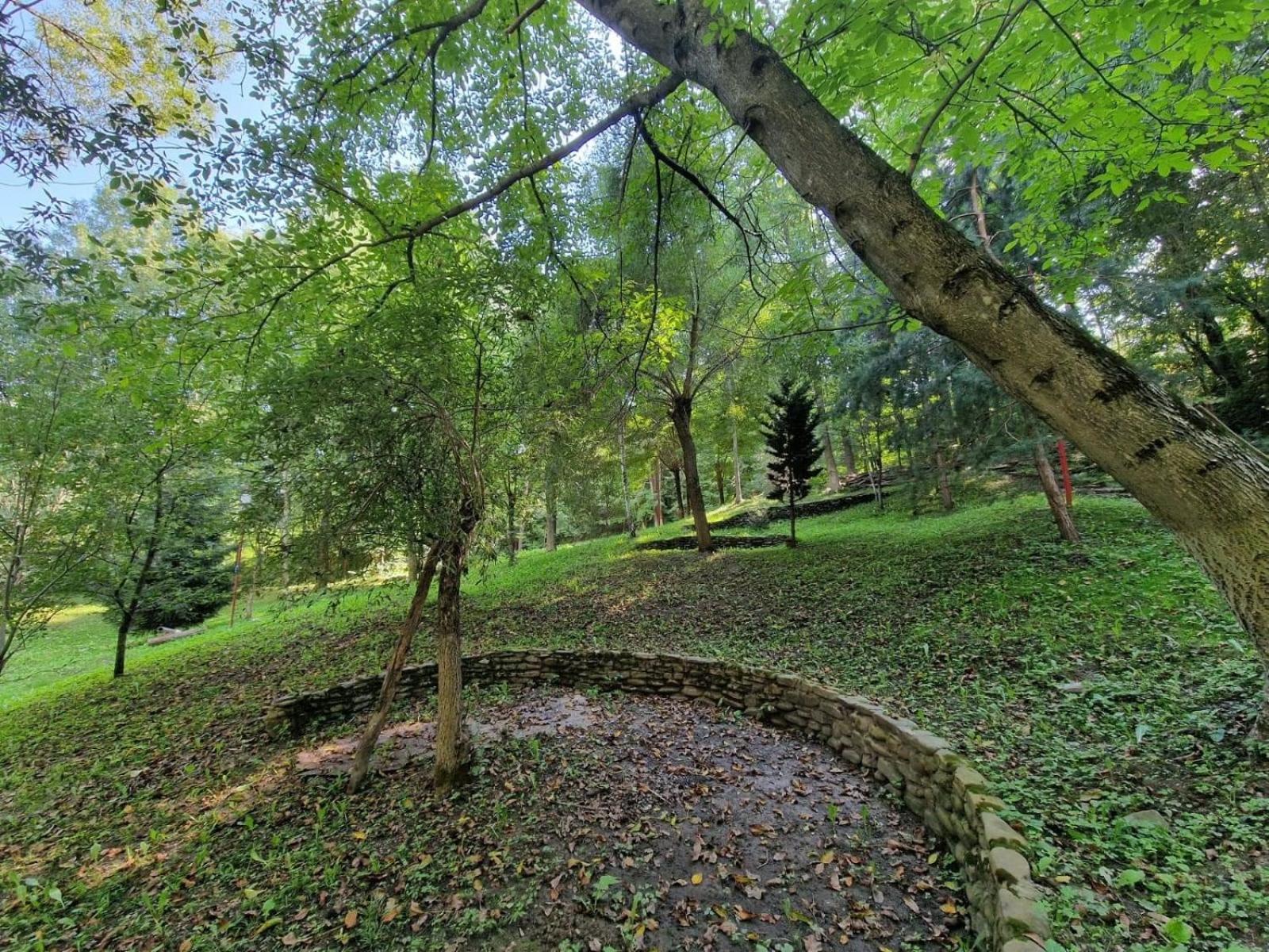 PENSIUNEA STEFANIA, photo 16