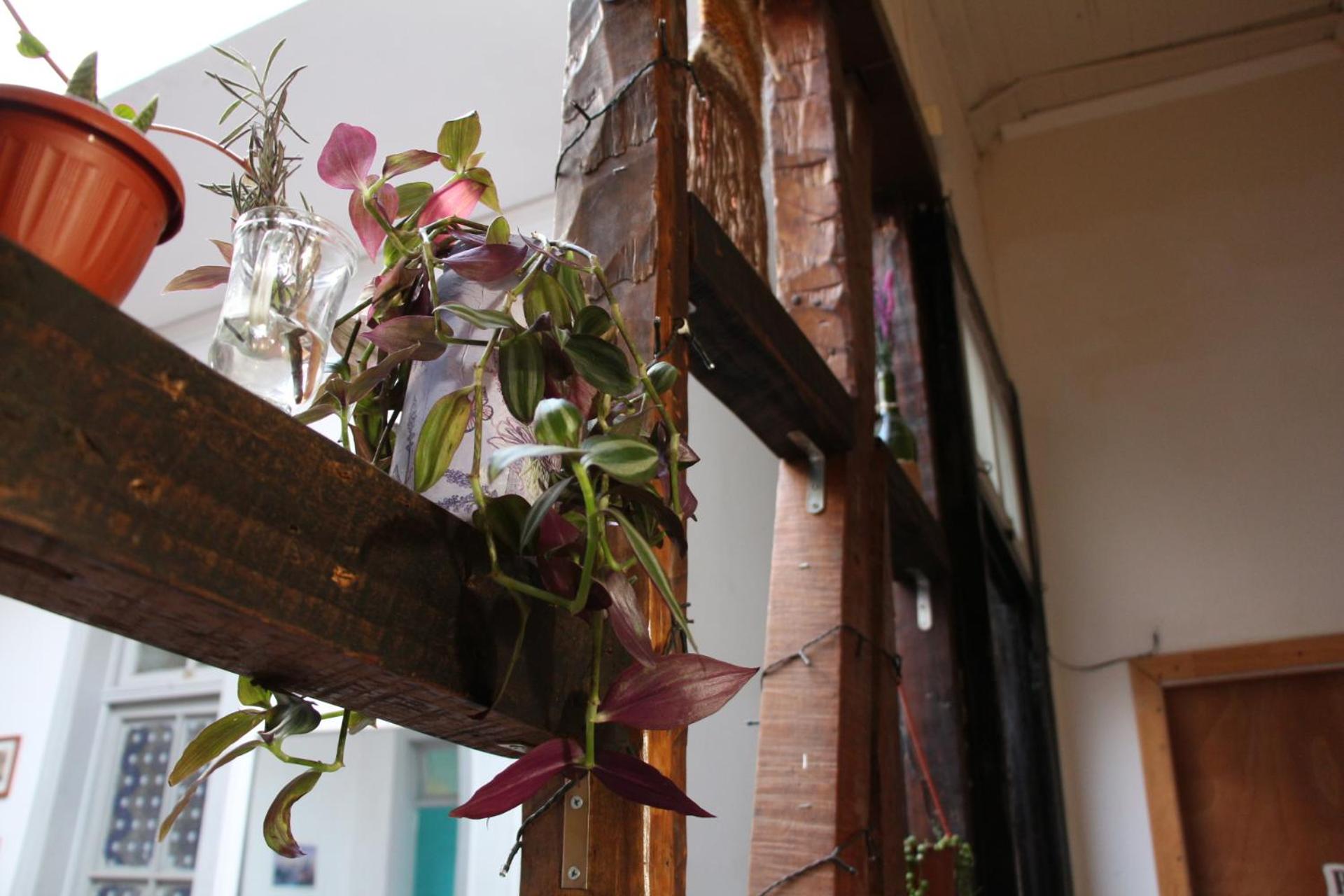 Valparadise Hostel