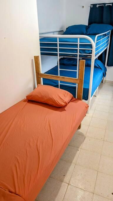 Photo 42
