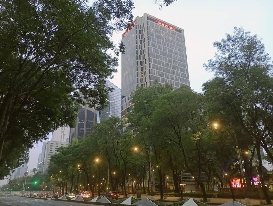 Suite con lunas y Sol del Río Amazonas, por Reforma 222 view 5