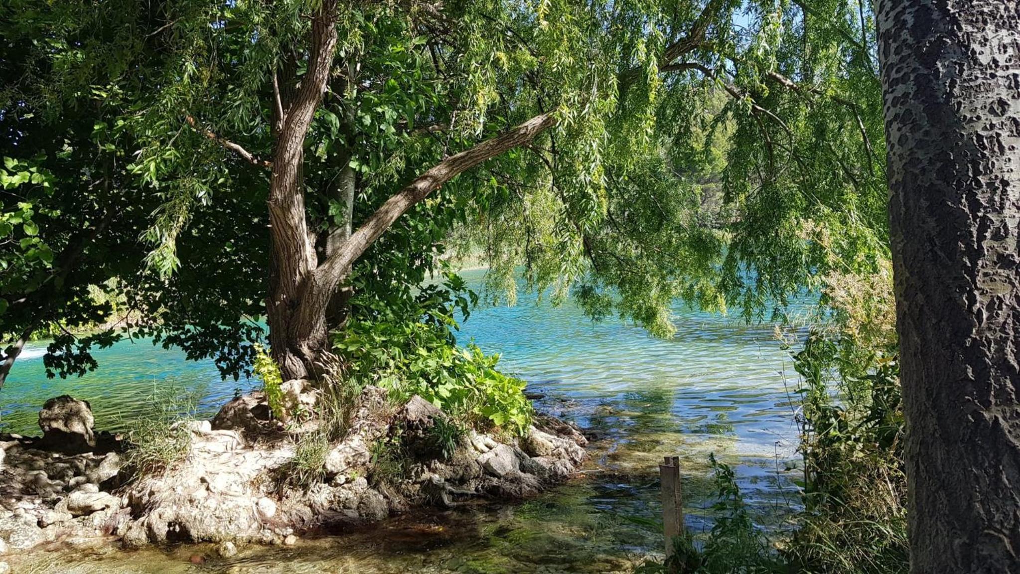 Photo 24
