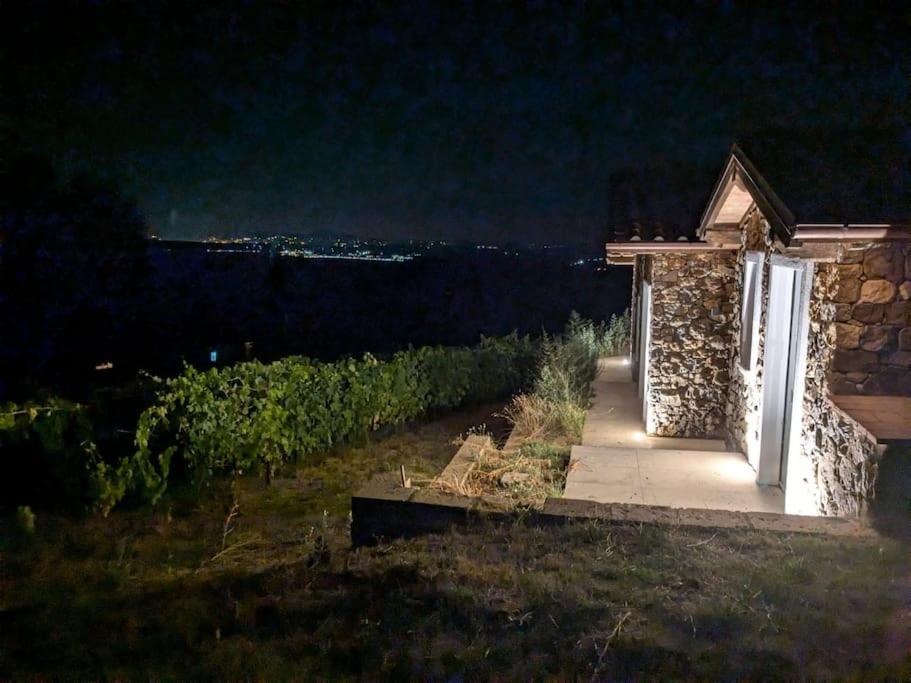 NEW! Apartment immersed in a vineyard view 2