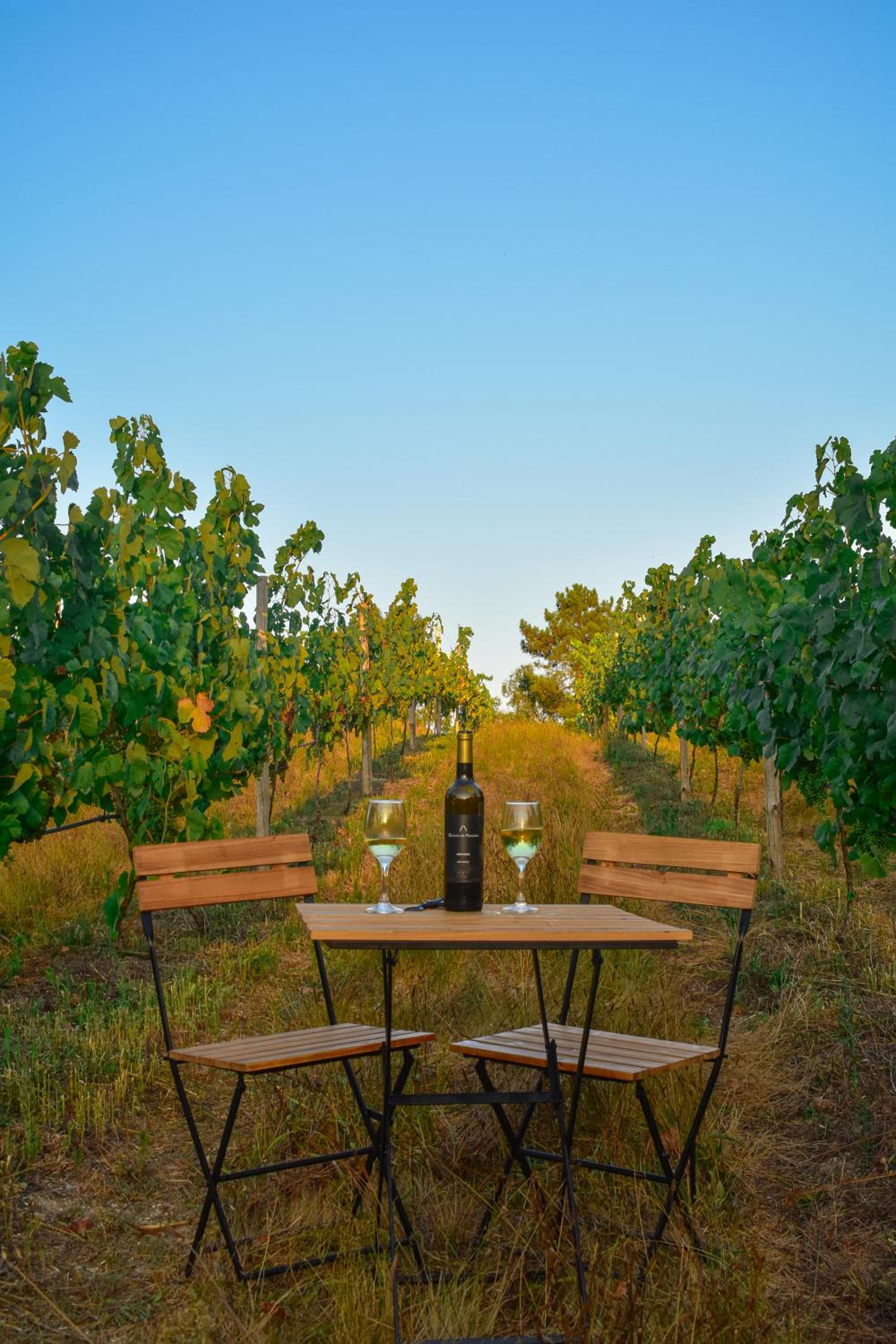 QUINTA DO RIBEIRO Garden House view 3