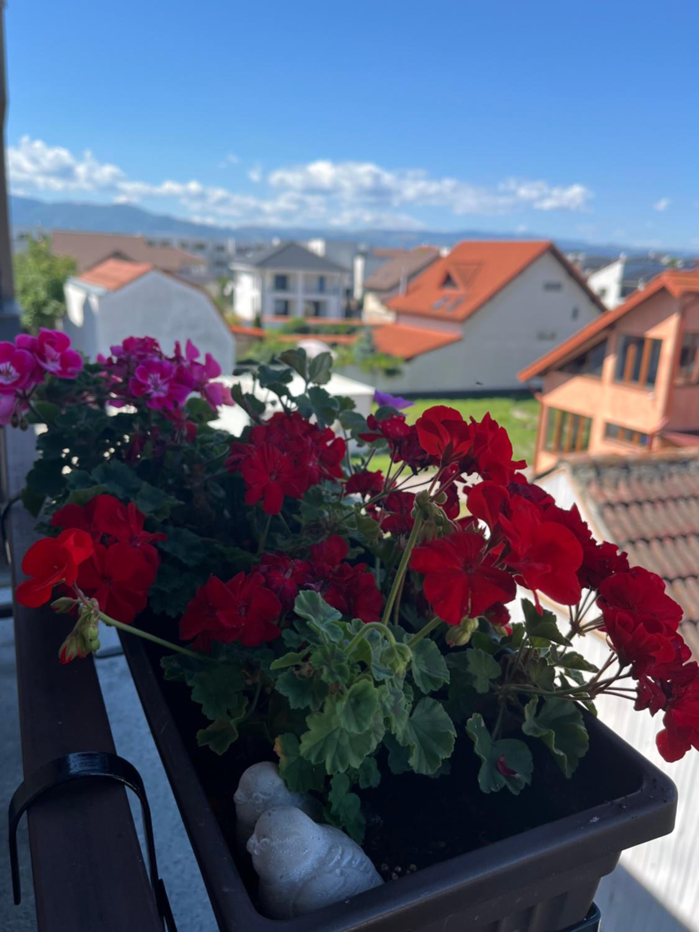 Apartament acasă