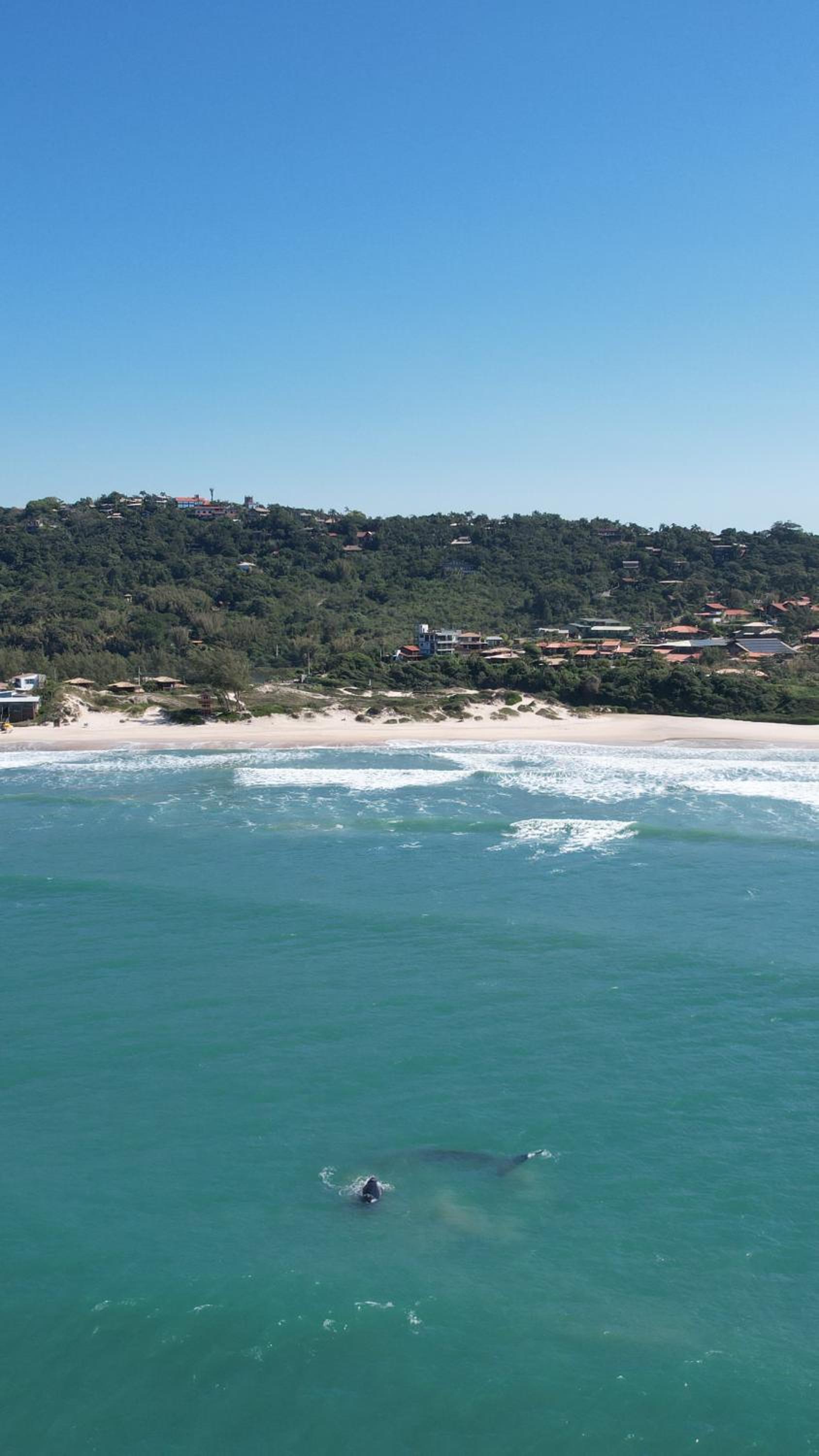 Casa Oceano Praia do Rosa, apartamentos pé na areia, Praia do Rosa