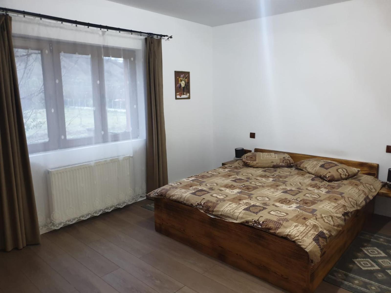 Hanu Teo Săpânțanu view 4