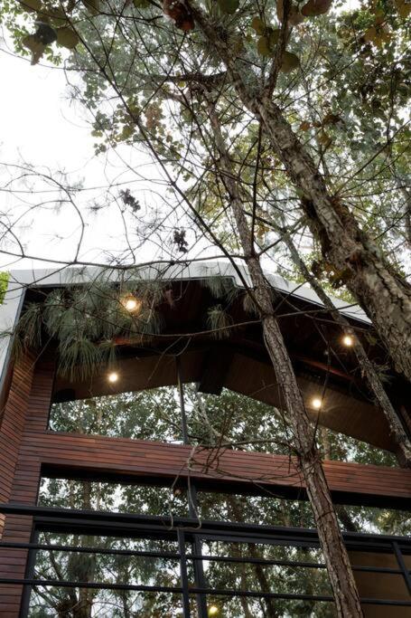 Lujosa casa en el Bosque cerca de la ciudad view 2