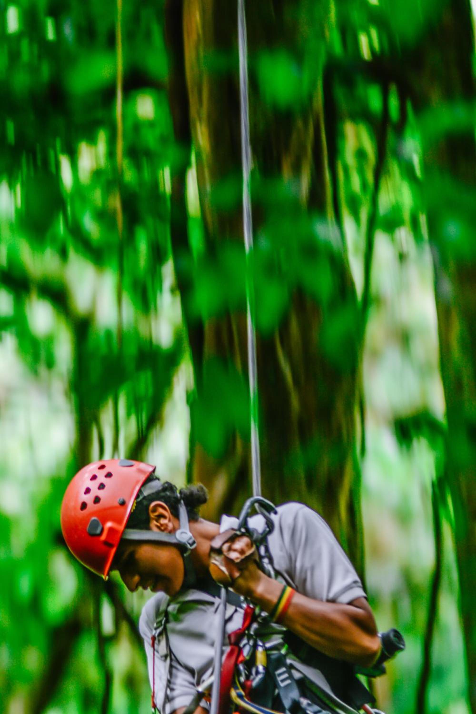Cloud Forest Lodge