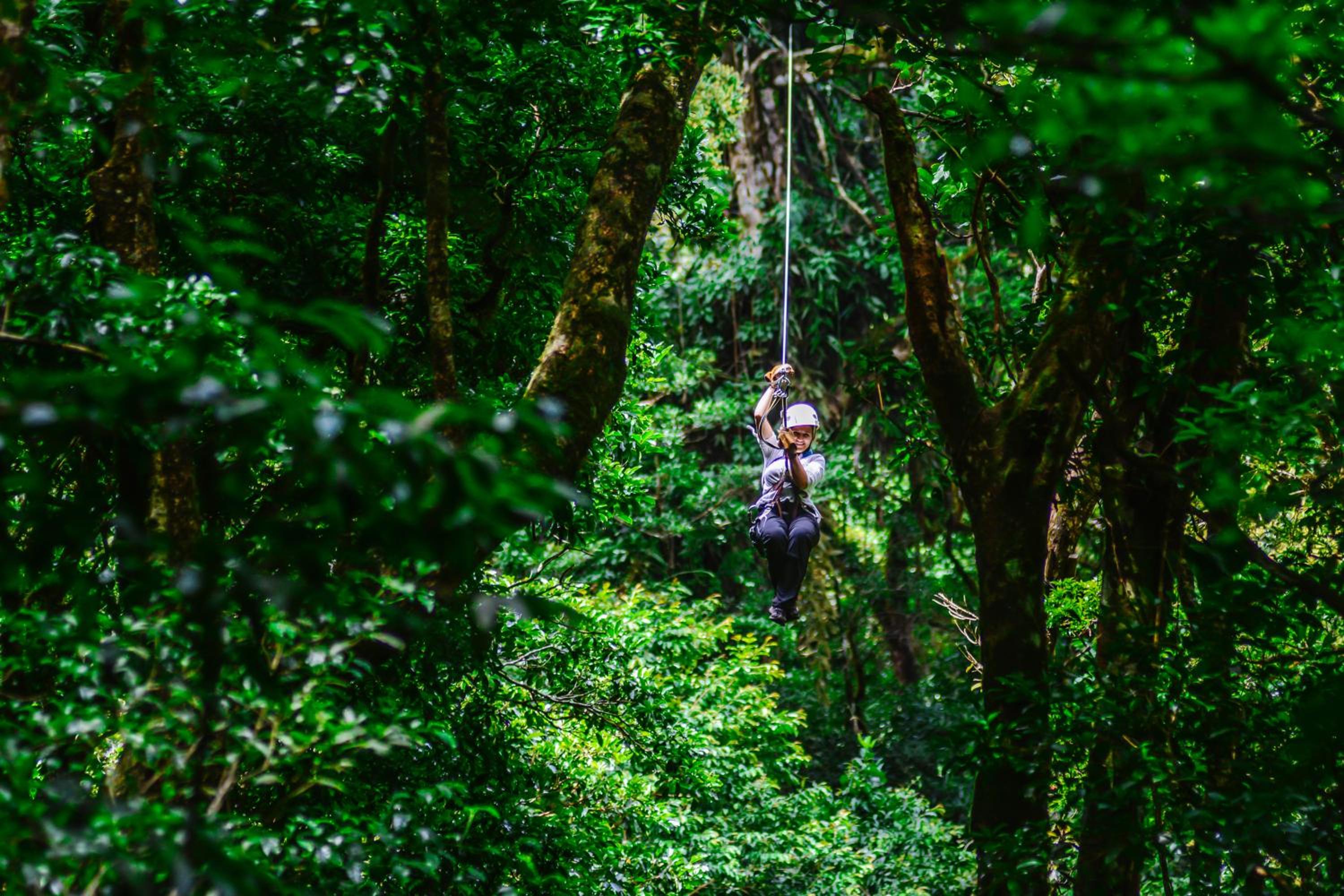 Cloud Forest Lodge