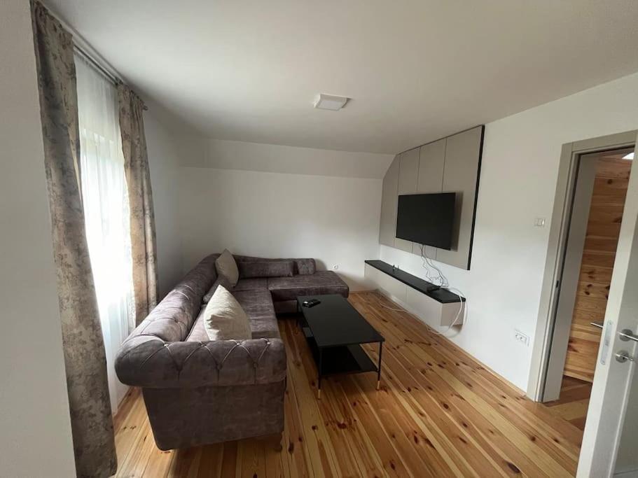 David apartment