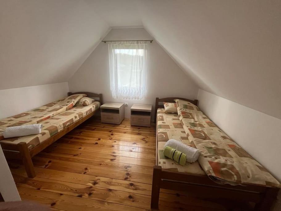 David apartment