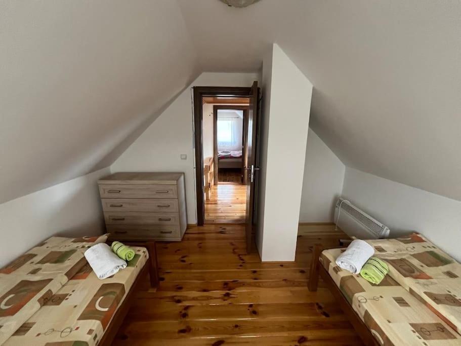 David apartment