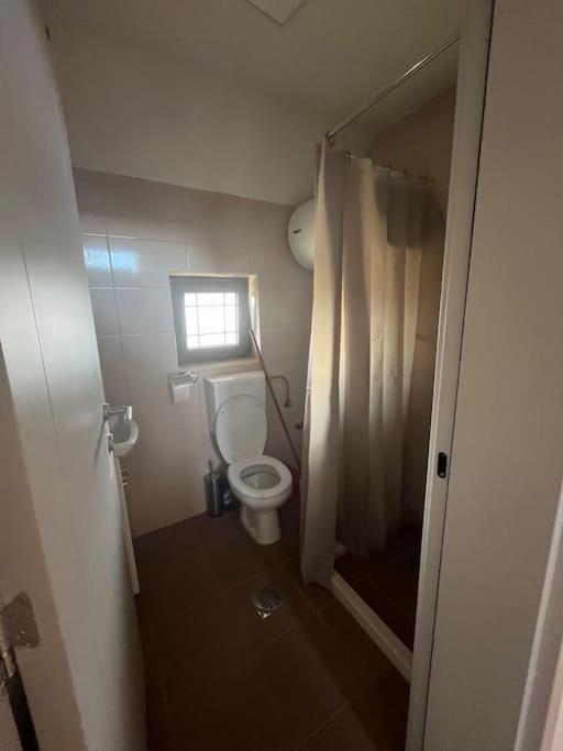 David apartment