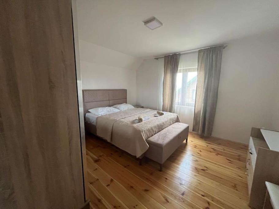David apartment