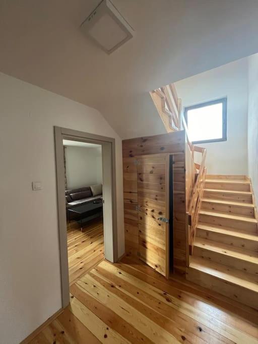 David apartment