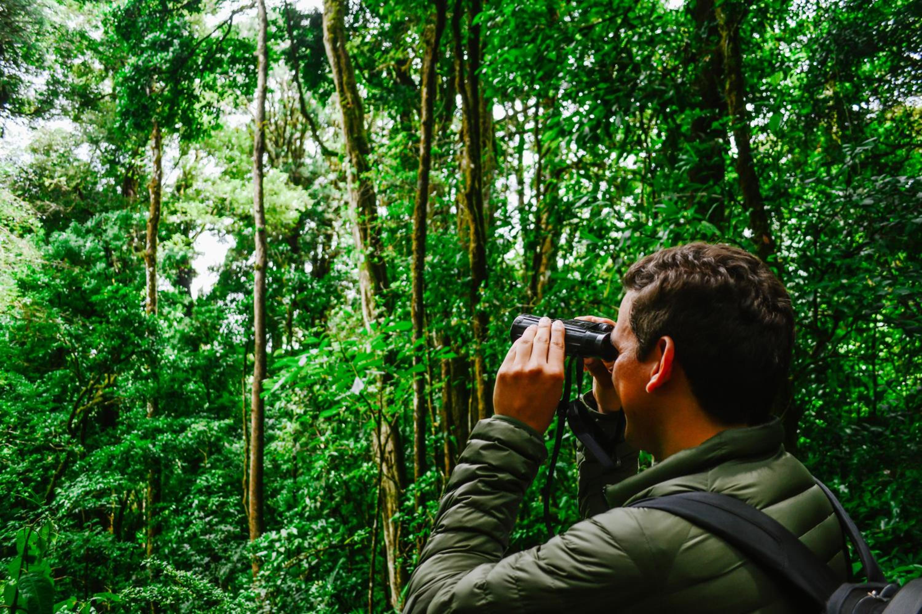 Cloud Forest Lodge