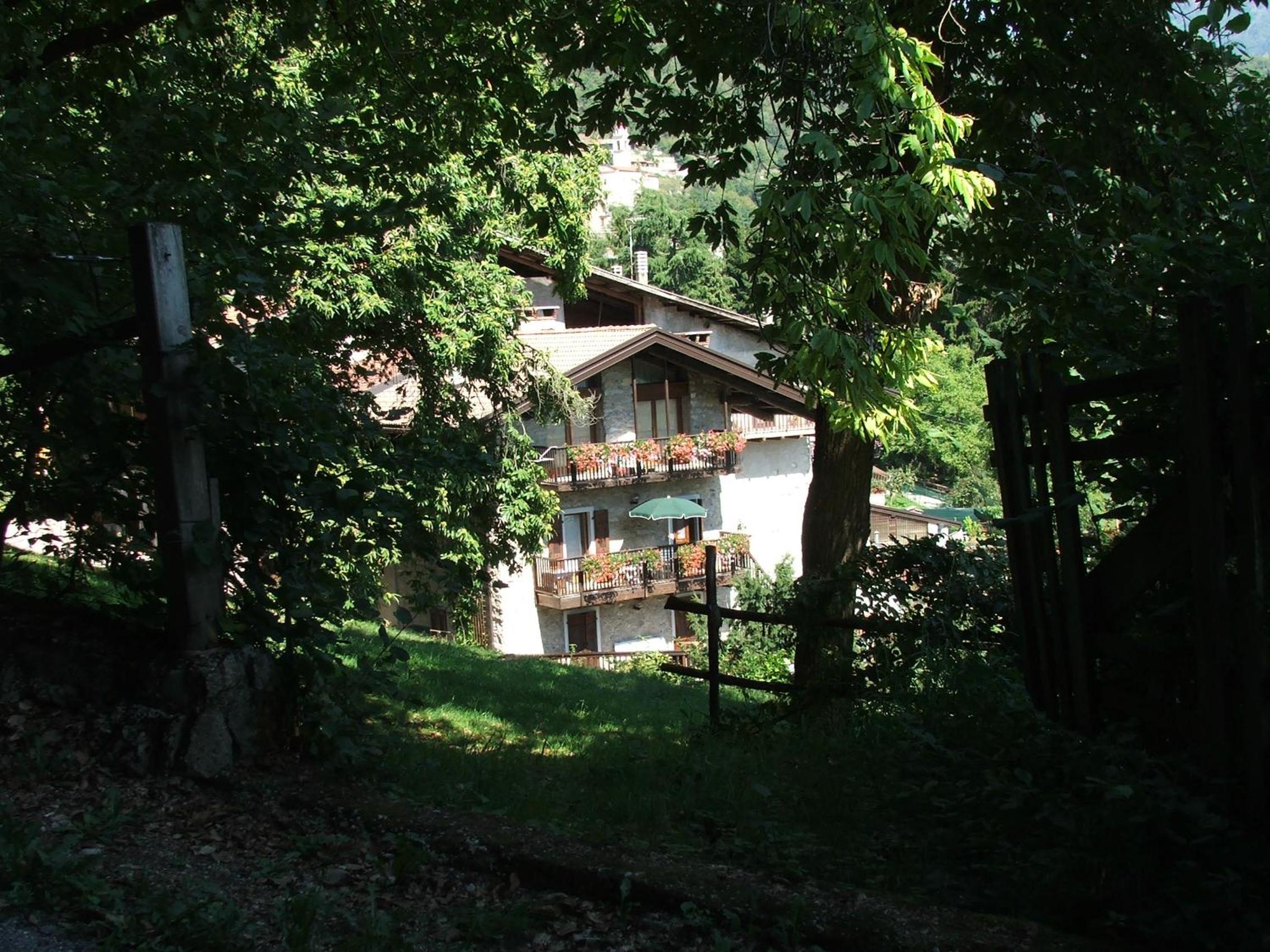 Photo 40