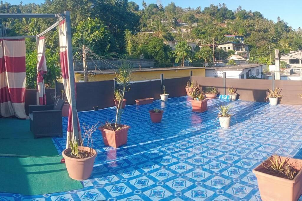 roof