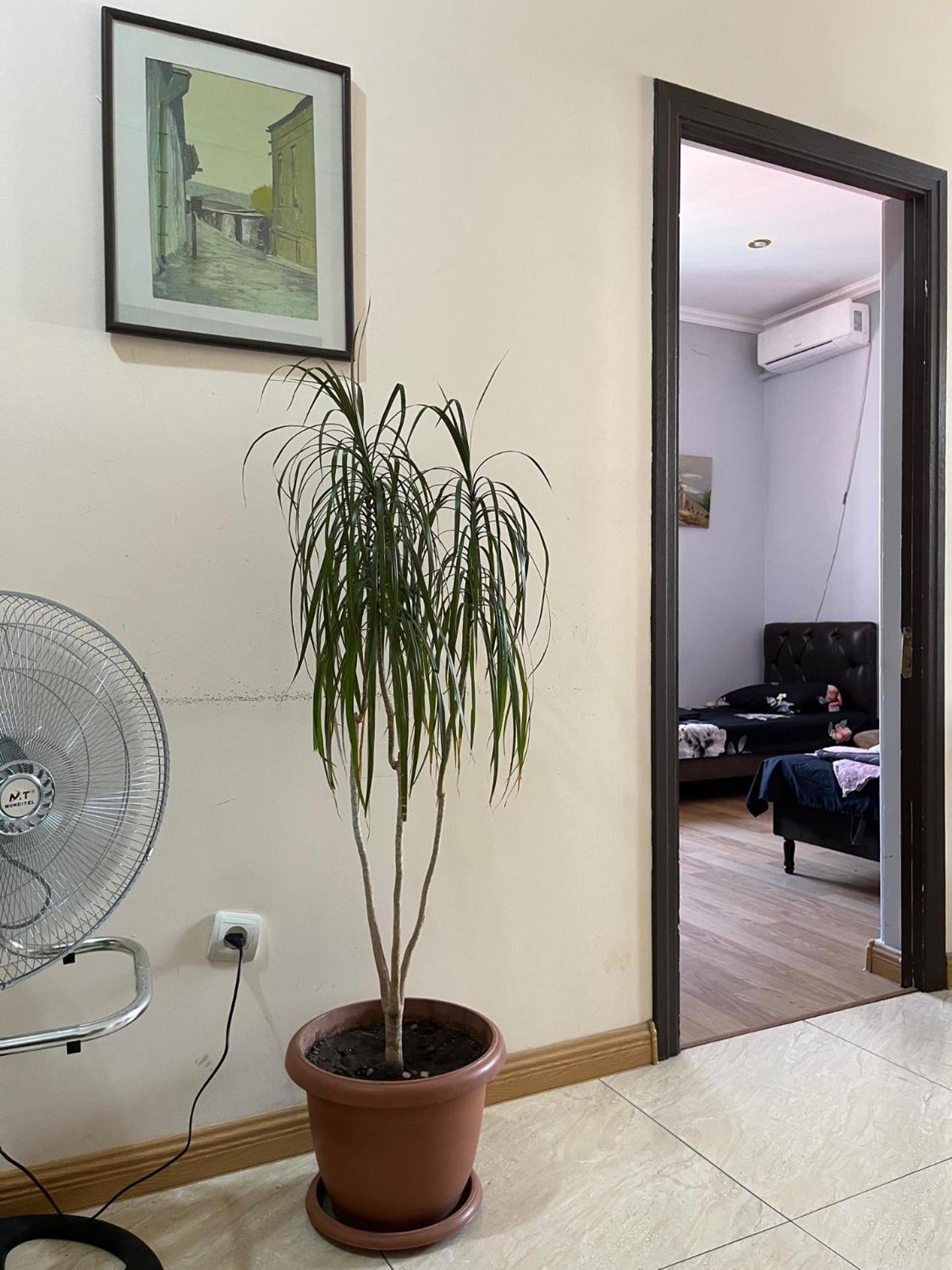 Komitas Avenue Guest House