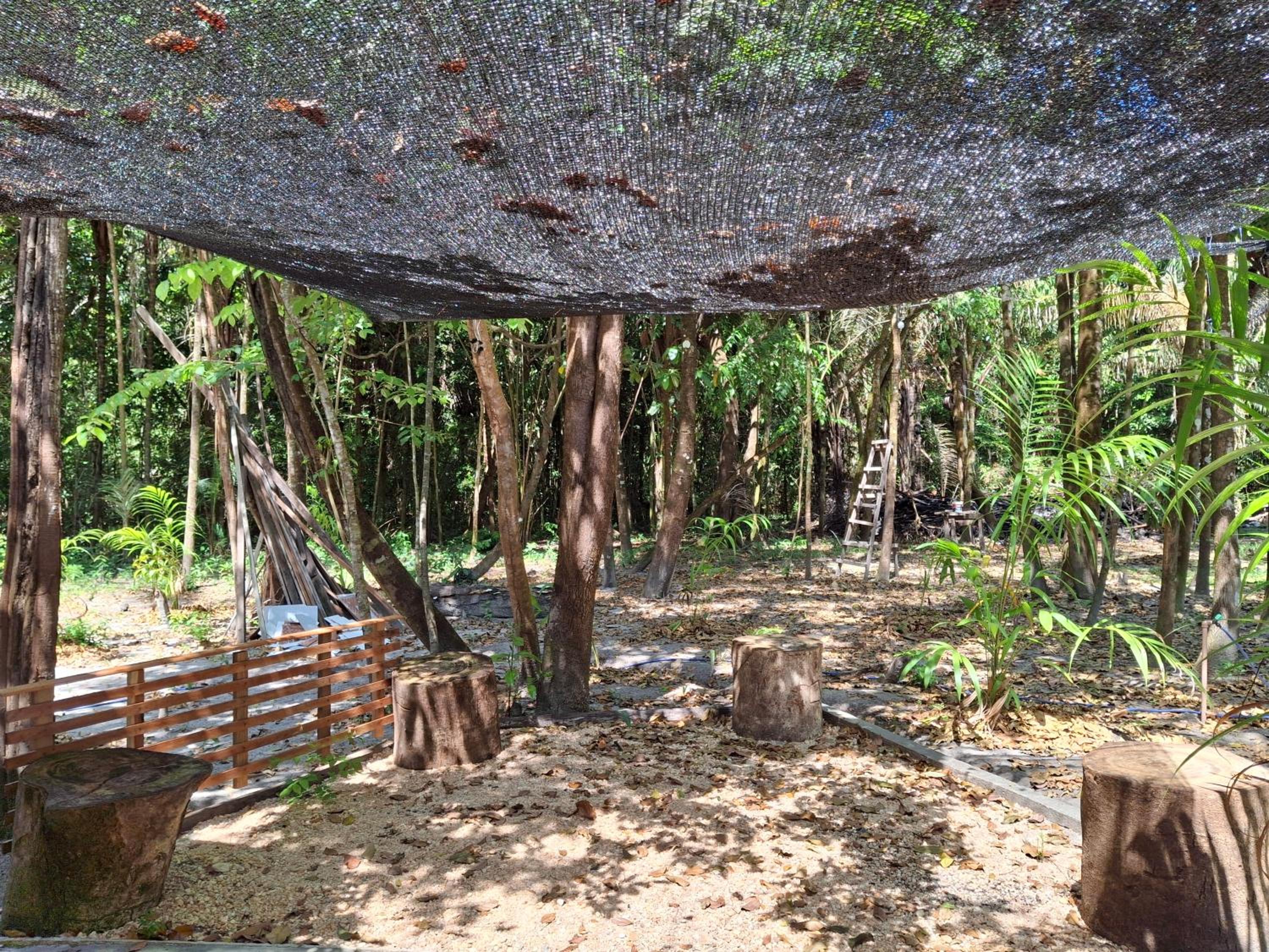 Casa da Mata Marajó
