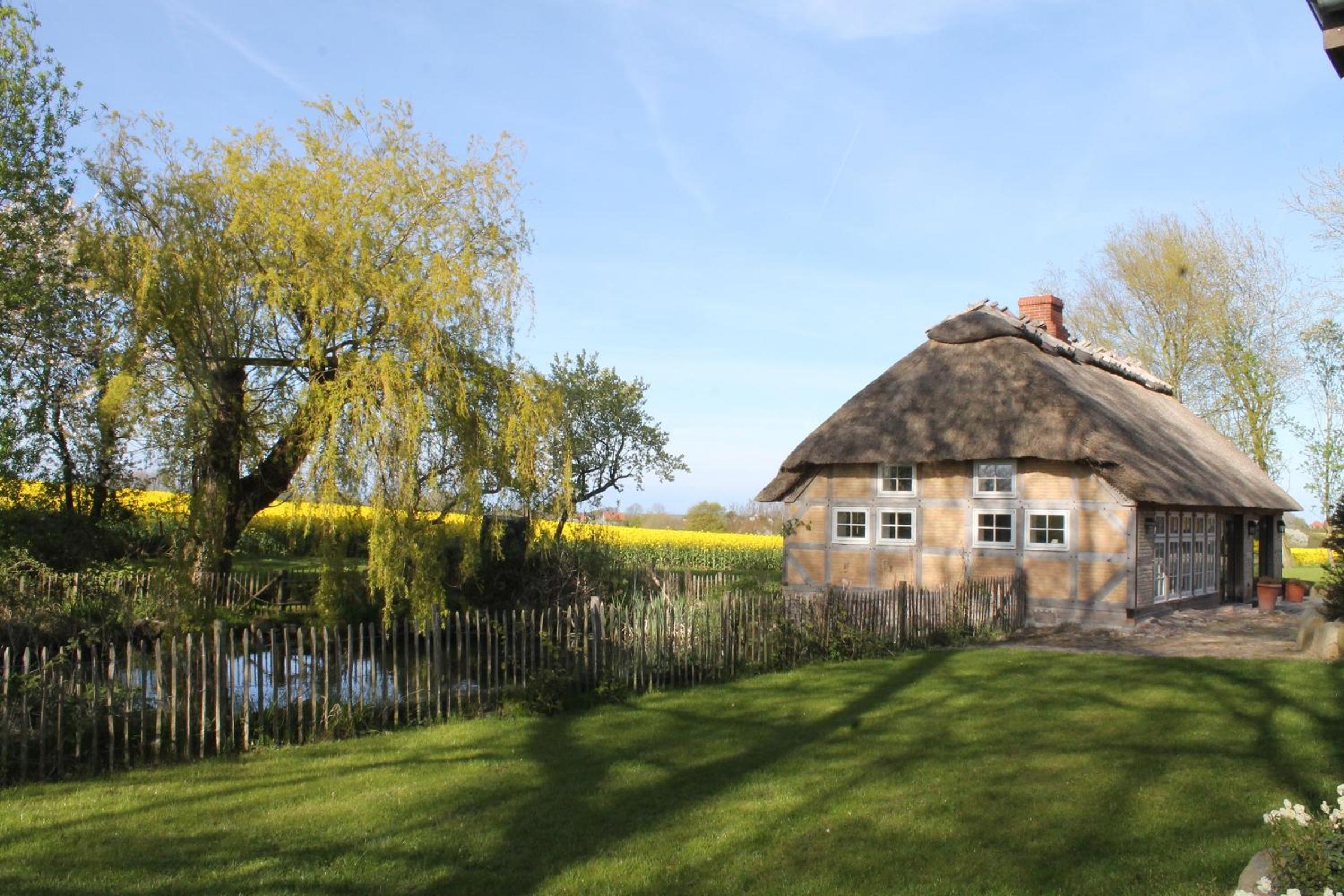Urgemütliche Reetdachkate mit großem Kamin und Sauna view 2