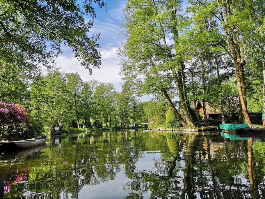 Ferienwohnung im Vogelhaus mit Dachterasse und großem Garten