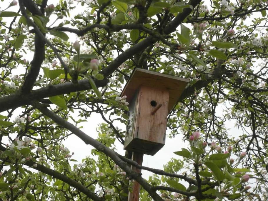Ferienwohnung im Vogelhaus mit Dachterasse und großem Garten